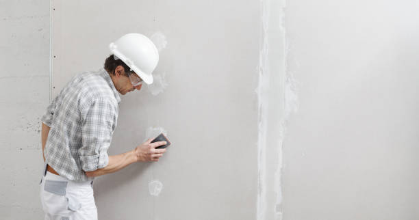 Best Pressure Washing and Painting Preparation  in Foresthill, CA